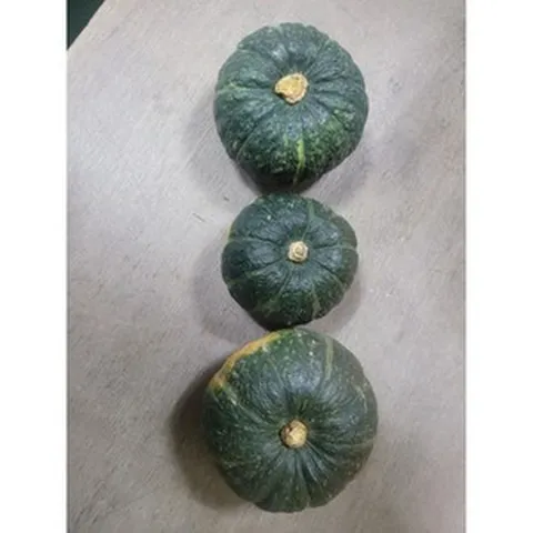 친환경 미니 단호박, 2kg(4~8과) × 1박스