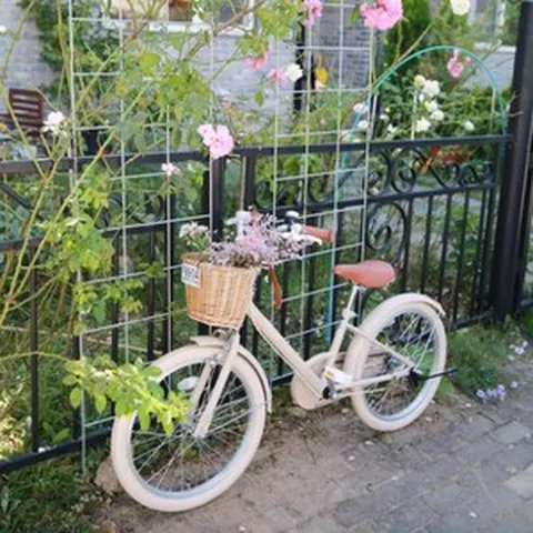 엘도라20인치 샌드베이지 도쿄나인 어린이자전거 8세 9세 10세 보조바퀴까지 완벽무료조립 바구니무료, 보조바퀴 조립후 스탠드 따로 구매, 1개