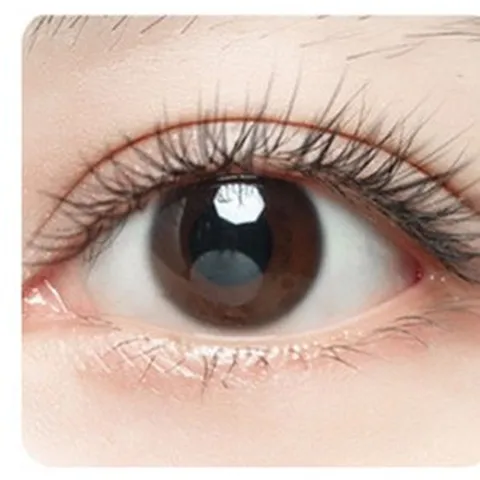 눈썹가이드 속눈썹가이드 붙이는속눈썹 자연스러운인조속눈썹 마그네틱속눈썹 인조속눈썹 원터치속눈썹 부분속눈썹, 본 상품