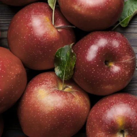 [300%절정의당도] 한달한정판매 천국의맛 감홍 사과, 1박스, 1kg (중소과) 특품