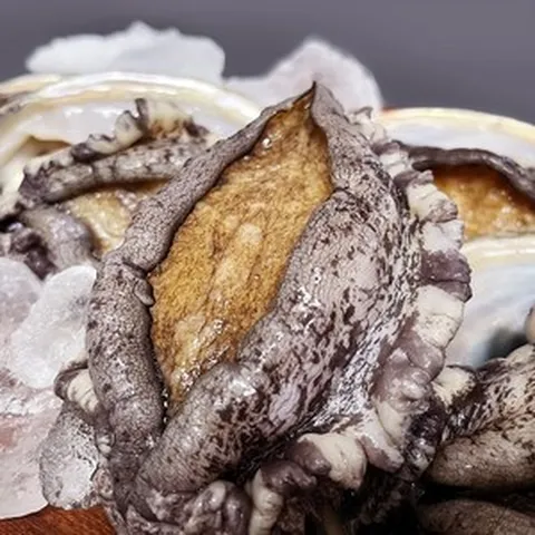 바다농장 완도전복 직거래 전복선물세트, 1개, 1kg(특대 9-10미)