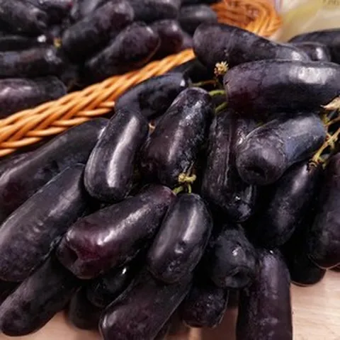 씨없는 21brix 스위트 블랙사파이어 포도, 1박스, 1kg (특상)