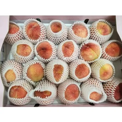 [한가득팜] 꿀당도 털복숭아 딱딱이 복숭아 백도 황도 대극천 천도 복숭아, 1개