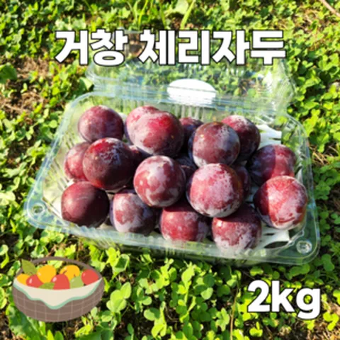 체리자두 피자두 나디아 햇자두 프리미엄자두 2kg, 거창 체리자두 2kg 소과, 1개
