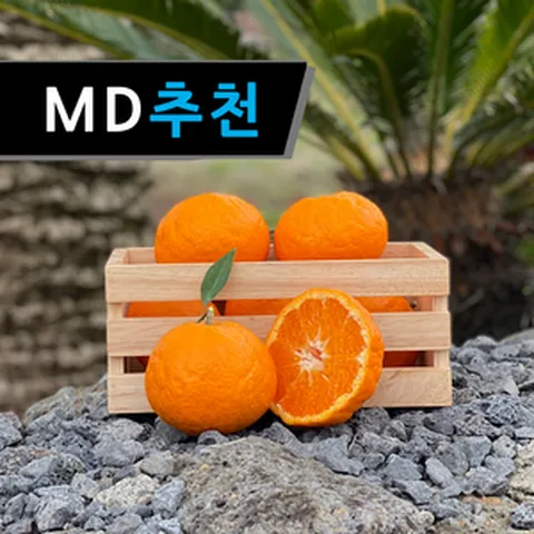 25년 첫 수확 제주 고당도 카라향, 1박스, 중과 3kg