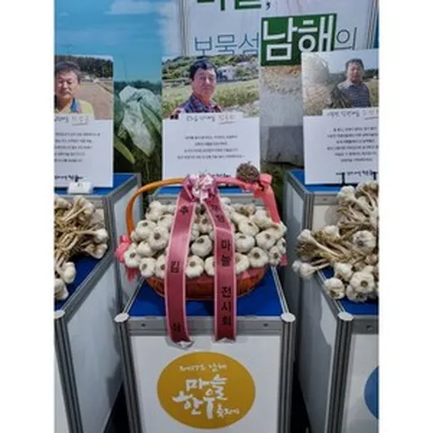 [판매중] 해풍맞고 자란 보물섬 남해마늘 특대(10KG) !! 이렇게 좋은 남해 마늘 없어예!!, 1등(10KG), 1개