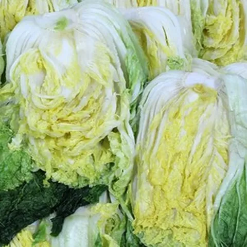 해남 절임배추 국내산 천일염으로 절인 맛있는 김장절임배추, 1박스, 20kg