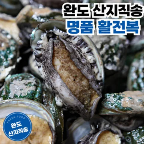 완도 당일채취 산지직송 산소포장 활전복 특대 대, 1개, 특대 1kg(10~12미)