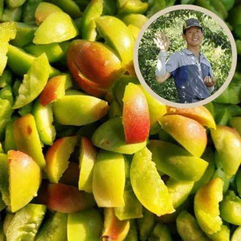 [예약할인] 광양 남고 깐매실 - 우수농산물인증 홍매실 깐매실, 3kg, 1개