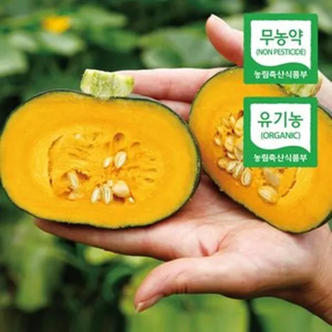 제주친환경단호박(일반) 2024 햇 친환경 제주 미니 밤단호박 7kg, 1개