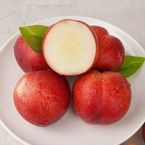 [6/10순차출고][자연맛남] 꿀맛남 새콤달콤 신비복숭아 1kg (15과내외/팩포장), 1개