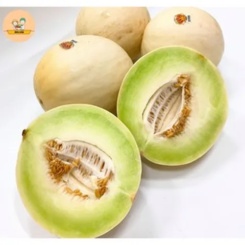 미국산 허니듀 멜론 1통(2kg내외), 1개, 2kg 내외
