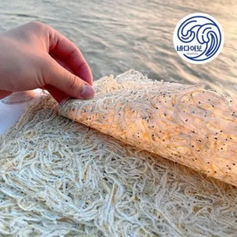 서해안 햇 뱅어포 10장 상급 뱅어포조림 실치포 실치, 1개