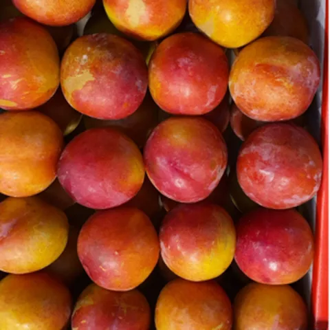 새콤달콤 후무사 추희 대석 자두 2kg 4kg (의성자두 김천자두), 1개, 중과 자두 2kg