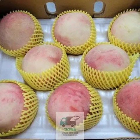 복숭아_말랑이_백도_1kg 59D7, 1개, 1kg