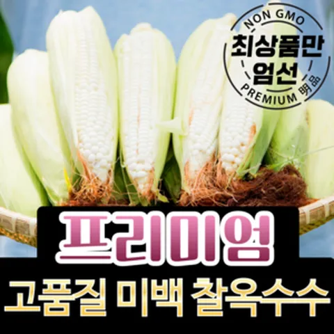 [강원도 산지직송] 생 옥수수 햇옥수수, 1박스, (특품) 옥수수 30개입