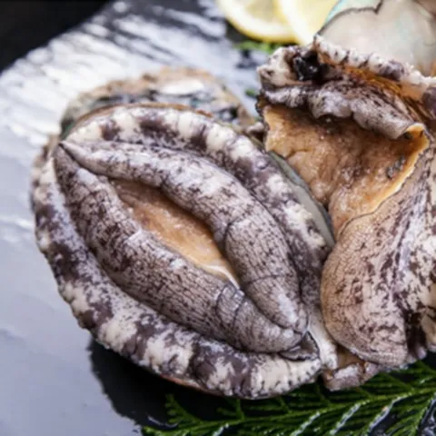 완도군수산대전 완도 활전복 (특대 9-10미1kg) 산지직송, 1개