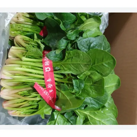 국내산 산지직송 2단 700~900g 달고 맛있는 시금치 포항초 노지 섬초 보물초 [원산지:경북 포항] 맛있는섬초 달달한섬초, 2개