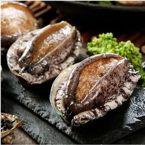 해신수산영어조합법인 해신수산 완도활전복 大6-7마리 400g 내외국내산(양식), 해신수산영어조합법인 해신수산 완도활전복 大6-7마리 4