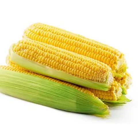 더조은푸드 [더조은] 여름꿀맛 초당옥수수 9cm이상 (10개입), 1