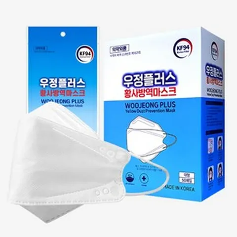 국내산 1+1 KF94 3D입체형마스크 대형 50장+50장 입체와이어 코지지대, 단품, 2개