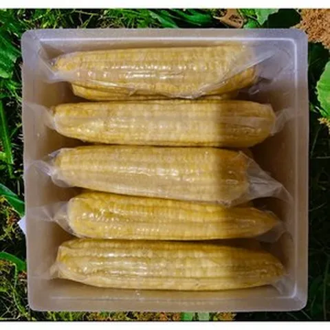 프리미엄 강원도 흑찰옥수수 백찰옥수수 진공포장, 백찰옥수수(5팩25개), 1개
