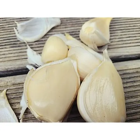 코끼리마늘 토종마늘 햇 남해마늘 홍산마늘 상급 1kg, 코끼리마늘종자1kg, 1개