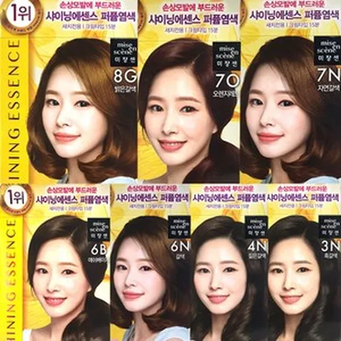 미쟝센 샤이닝 에센스 새치 염색약, 3N흑갈색, 4개