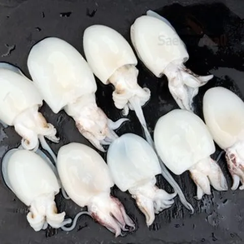 새우몰 손질 미니 갑오징어 9미 2.16kg(180g x 12) 20/40 베이비까, 1개
