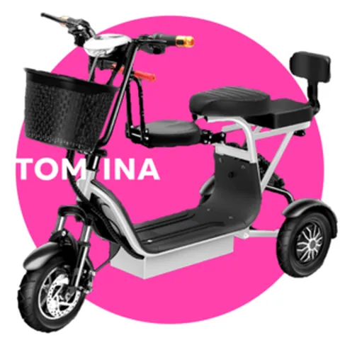 토미나 접이식 세발전기자전거 어른용 2인용 전동스쿠터 3륜 전기, 4. 고급 3인, 쿨화이트