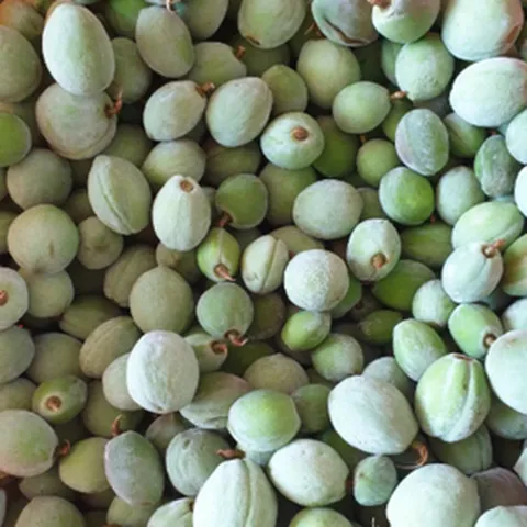 개복숭아 돌복숭아 5kg 10kg 강원도 홍천 야생 세척 단단한 과질 상큼한 달콤새콤 효소, 개복숭아 5kg, 1개