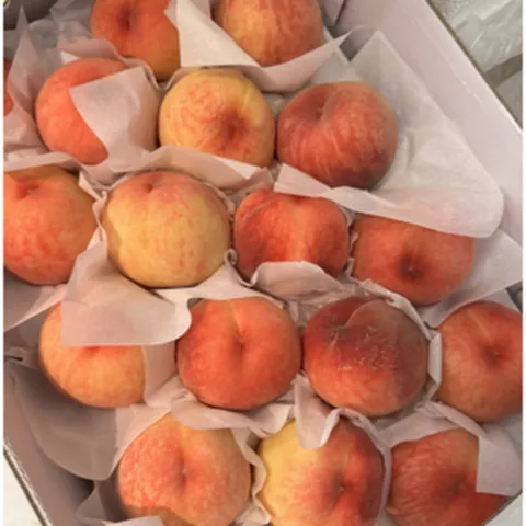 햇사레 털복숭아 정품 (반말랑이 복숭아_황도), 1개, 중과 4kg (18과내외)