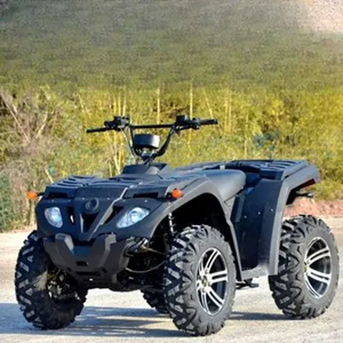 모든지형 드라이브 산악용 오토바이 ATV 네발오토바이, 전기 모델 - 후면 구동