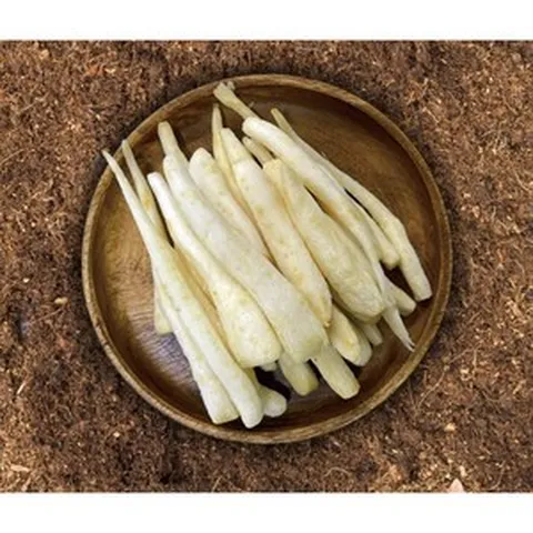 국내산 강원도 횡성더덕 깐더덕 흙더덕 무침용 구이용 400g 800g 1kg, 손질 깐더덕 1kg, 1개