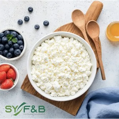 티벳버섯 종균 케피어 Kefir 15g, 1개