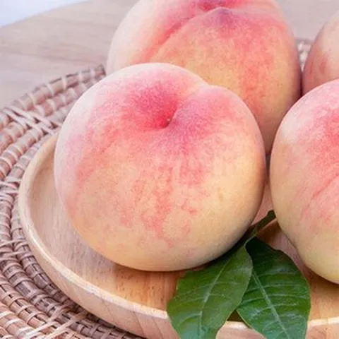 자연맛남 [자연맛남] 꿀과즙 말랑이 백도복숭아 1.5kg (11과내외), 1