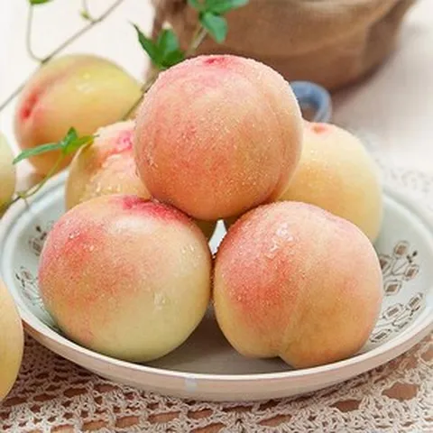 자연맛남 말랑이 털복숭아 백도 2kg 4kg 과수별, 05.말랑이 털복숭아 백도 4kg (15-19과내외), 1개