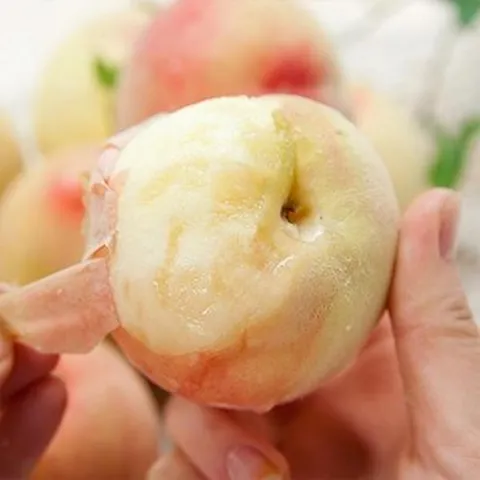 [자연맛남] 달콤한 말랑이 털복숭아 백도 4kg (20-25과내외), 1개