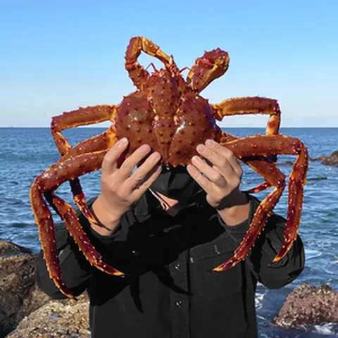 킹크랩 동해항 직송 러시아 레드킹크랩 블루킹크랩 2kg 시세, A++ 레드 킹크랩 3kg, 1개