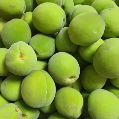 경남 하동 야생 개복숭아 돌복숭아 3kg 5kg 10kg 햇 품질좋은 신선한 맛나는 맛좋은 열매 5키로 10키로 효소 1박스 국내산, 1개