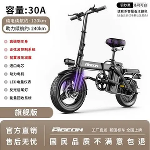 배민전기자전거 파스전용전기자전거 출퇴근 소형 접이식, 1. 프리미엄 에디션   30A(옵션문의가능)