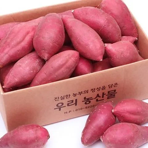 직거래농민장터 햇 고구마 퍽퍽달콤한 세척 꿀고구마 꿀밤고구마, 32_세척 꿀고구마 5kg 중상, 1개