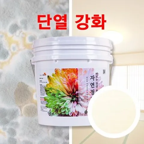 셀프 단열 벽지 규조토 페인트 베란다 방수 결로방지 곰팡이방지, 아이보리, 5.5kg, 1개