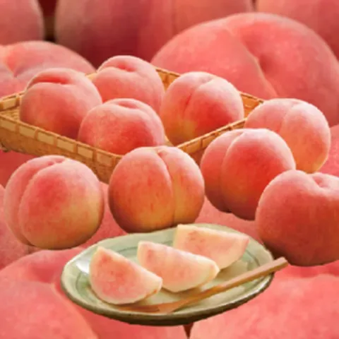 [호텔납품] 복숭아장인 당도검증 딱딱이 복숭아, 1개, 4kg(28과 내외)