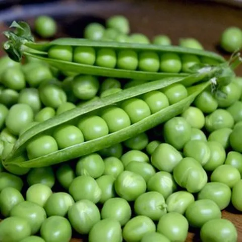국산 완두콩 햇 완두콩 1kg 2kg, 깐 완두콩 500g(냉동), 1개