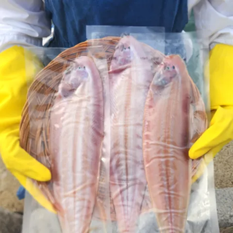 (특품)진공포장 반건조 생선, 1개, 군산 박대 특대(6마리)35cm내외