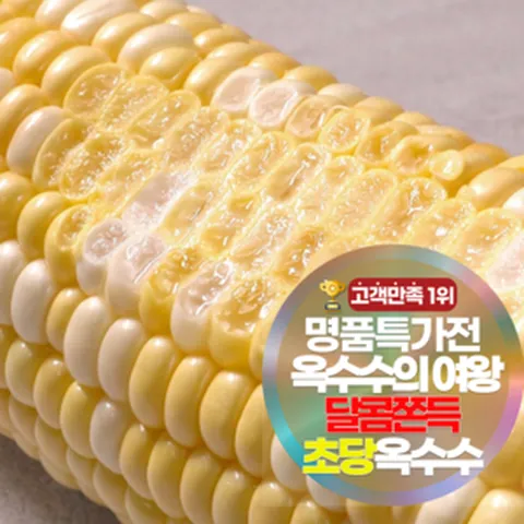 삼시세끼연구소 더 달콤한 초당 옥수수 생옥수수 최상품 14cm이상, 1세트, 10개