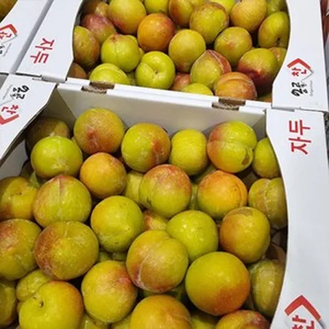 자두 (후무사 품종) 2kg 특(특대) (과당 80-100g 내외) / 햇자두 과일 대석자두 자두나무, 1개