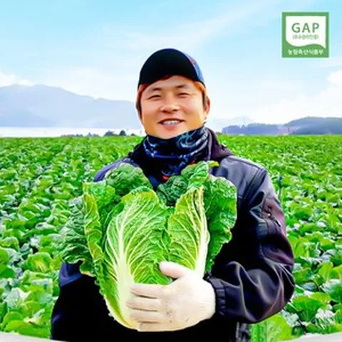 [GAP 인증] 땅끝사랑 해남절임배추 {12월17일 화요일도착}, 20kg, 1개