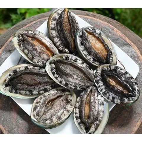 (추석선물세트)명품4호 대전복 선물세트 1.5kg(1kg 12미~13미)+고급선물가방, 1박스, 명품5호 1.5kg(1kg7~8미)+선물포장